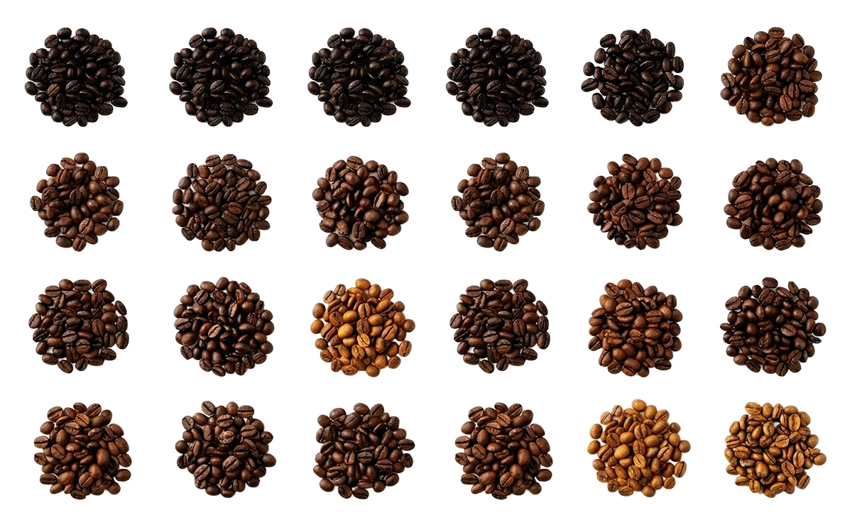 Little piles of coffee beans at different roast levels
